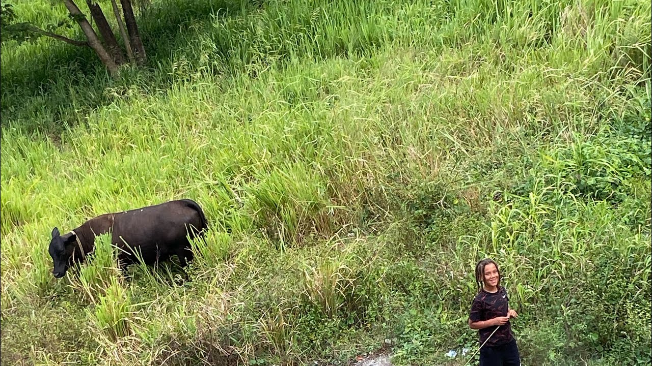 A day in my farm(must watch)#epic