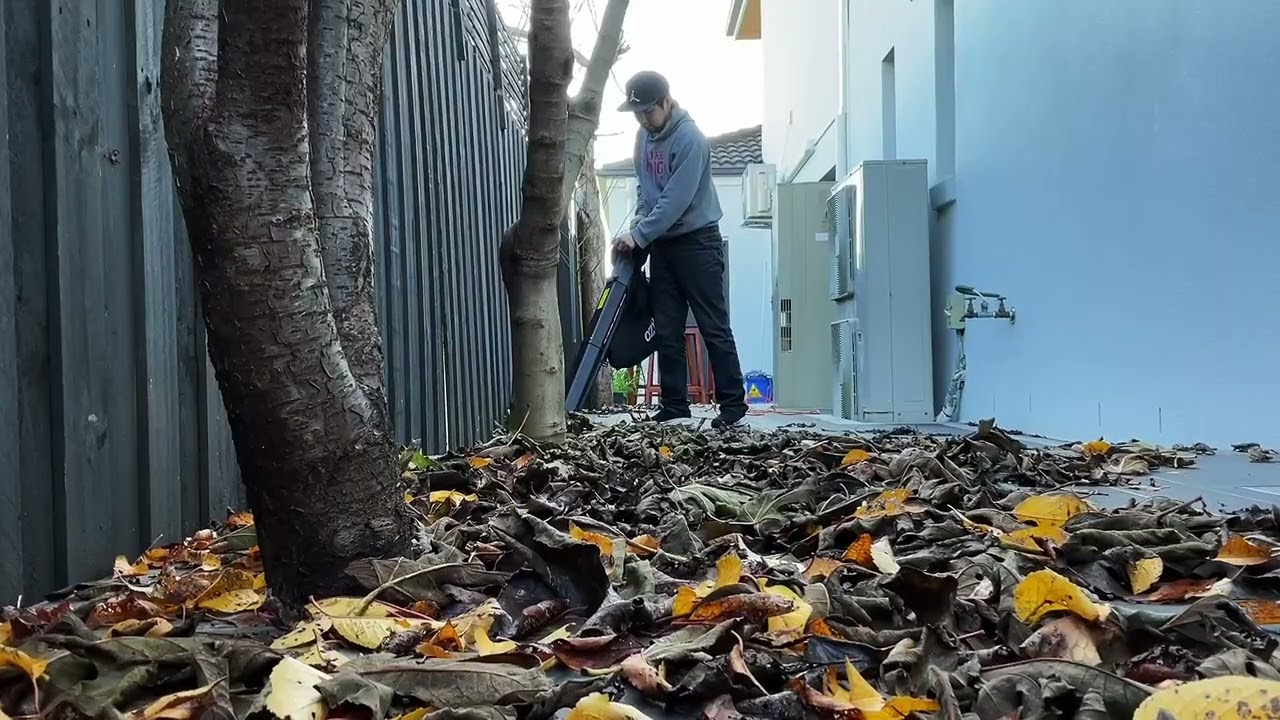Test Leaf Vacuum Power of the $59 Ozito 2400W Corded 3 In 1 Blower Vacuum Mulcher