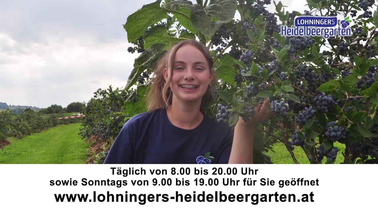 TOPTIPP Lohningers Heidelbeergarten