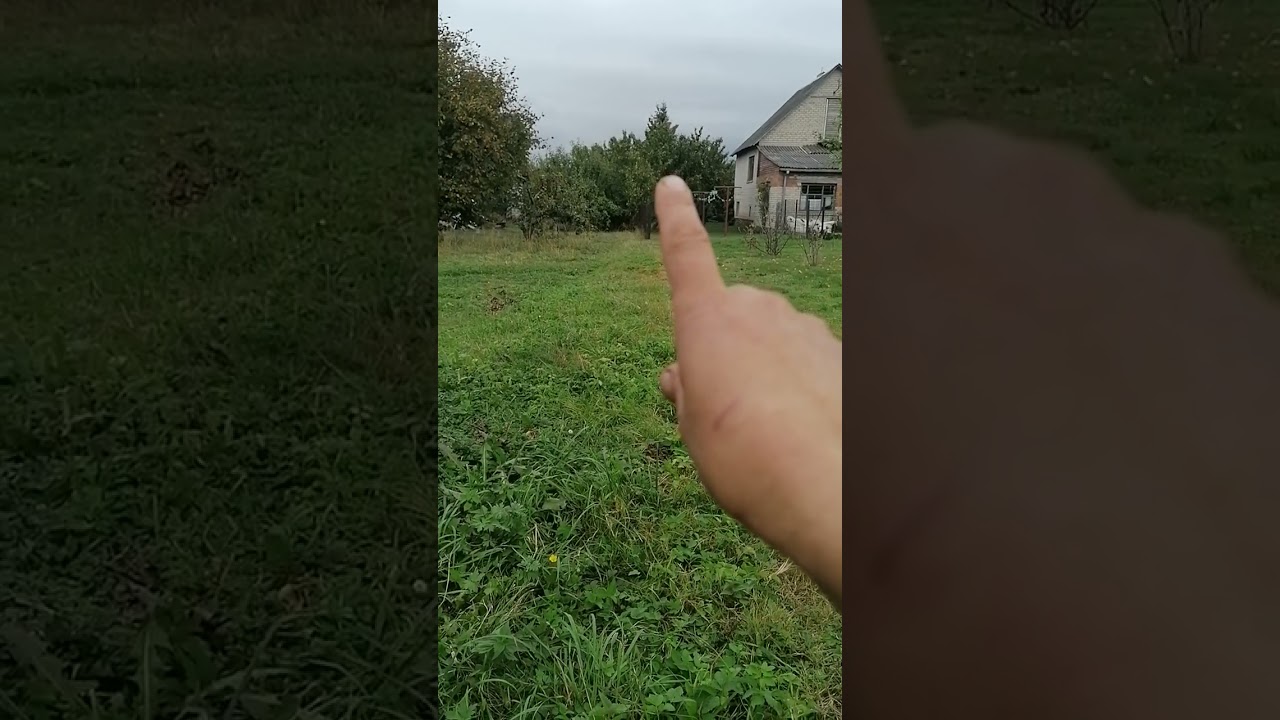 Kaimynai išrovė tvorą, turbūt statys gražesnę. Bet pamatams būtinas statybos leidimas