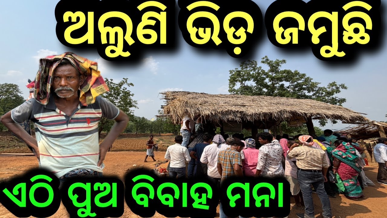 ଅଲୁଣି ଭିଡ ଜମୁଛି❗️ଏଠି ପୁଅ ବିବାହ ମନା❗️#triballife #Charigarhvlogs #odiavideo #aluni #villagevlog 