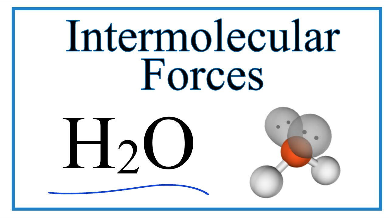 Intermolecular Forces for H2O (Water)