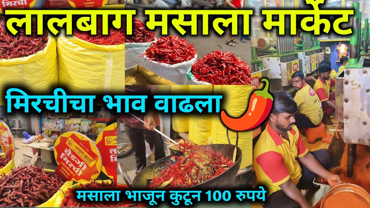 🌶️ लालबाग मसाला मार्केट/ lalbagh masala market /Wholesale Mirchi M