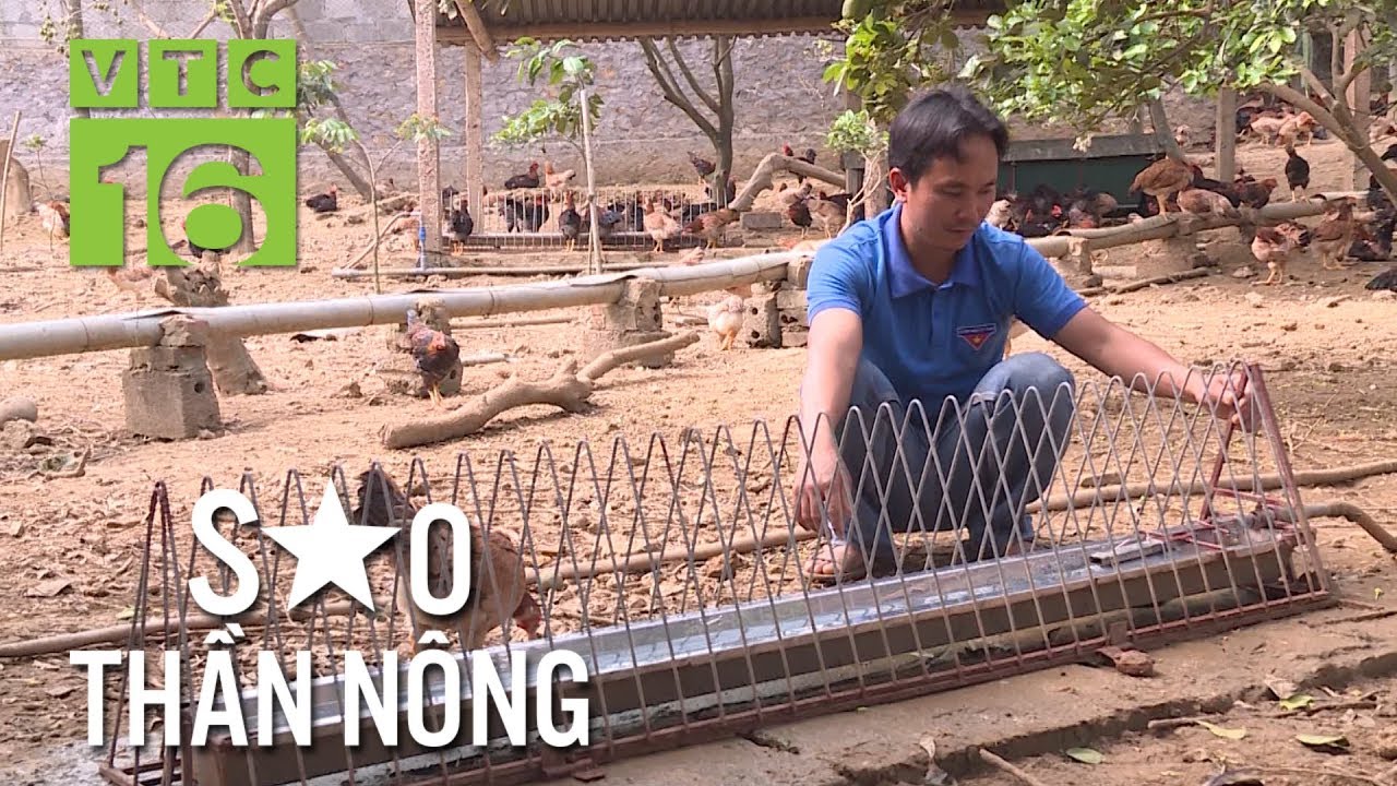 Tiết kiệm với máng thông minh nuôi gà tự chế  | VTC16
