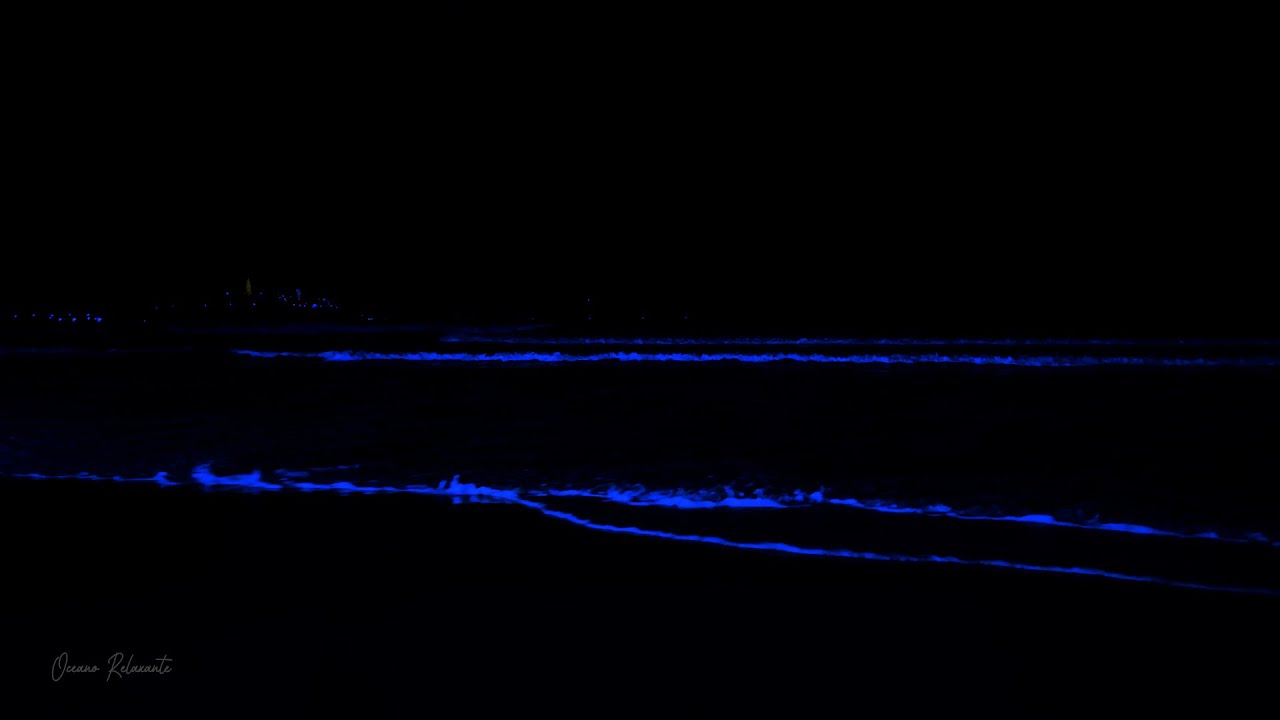 Calming Waves and Ocean Sounds for Deep Sleep • Stress and Insomnia Relief for Peaceful Night
