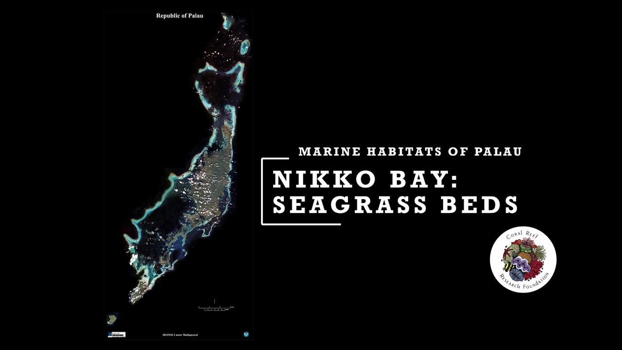 Teaching Science in Palauan: Sea Grass Beds in and Around Nikko Bay, Palau