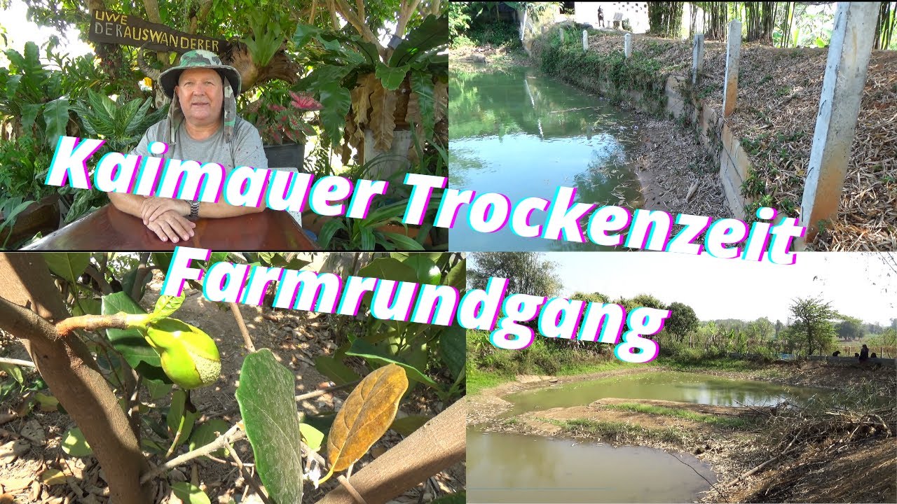 Thailand in der Trockenzeit. Wie hat die Kaimauer die Regenzeit überstanden? Farmrundgang