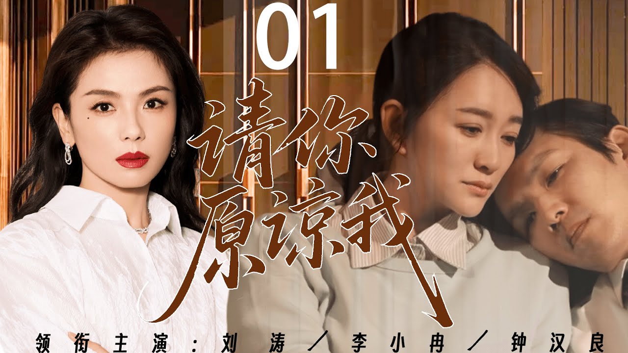 【2026经典情感剧】请你原谅我 01丨刘涛怀着初恋的孩子嫁给别人，钟汉良在遗憾中重新开始，四年后再回首已是各奔前程！丨主演：刘涛、钟汉良、李小冉