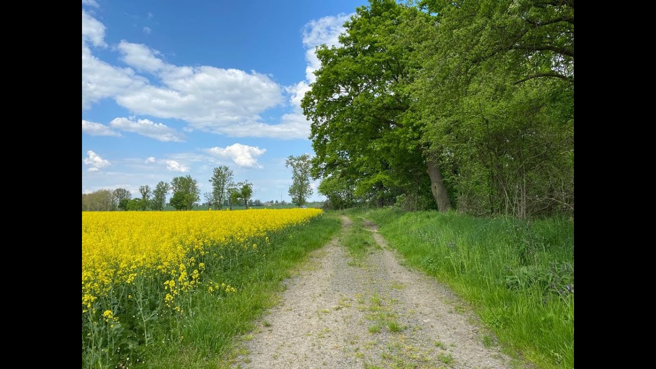Dłużyce (Dolny Śląsk) * Działki Budowlane 1000 1100 1200 1300 1400 m2 *