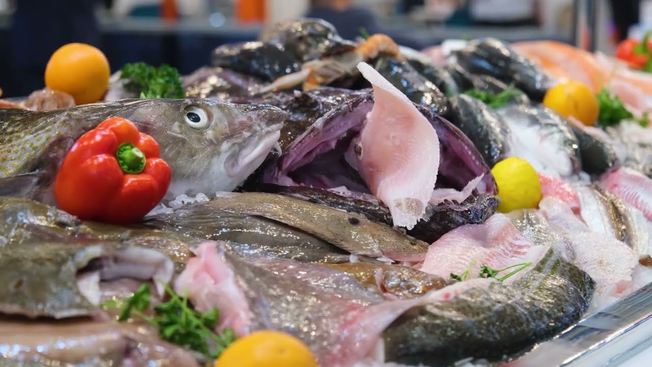 Compilation Seafood Exhibition Barcelona 2024 - Dayseaday Group