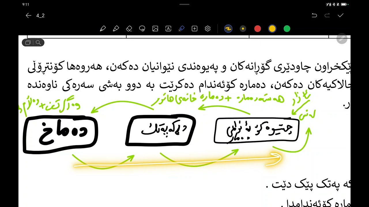 زیندەزانی بەندی چوارەم کەرتی دووەم لەلایەم مامۆستا ئەمجەد بایۆلۆجی دەمارەکۆئەندام تا دڕکەپەتک