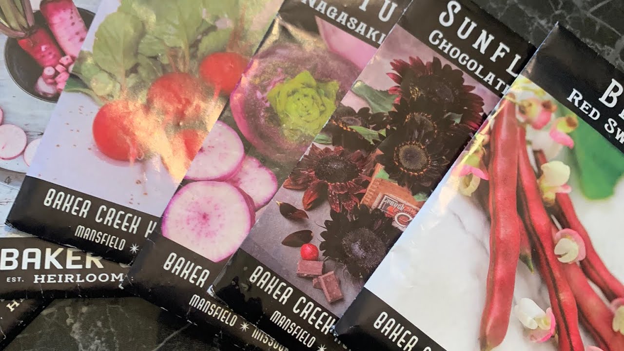 2026 Seed Haul
