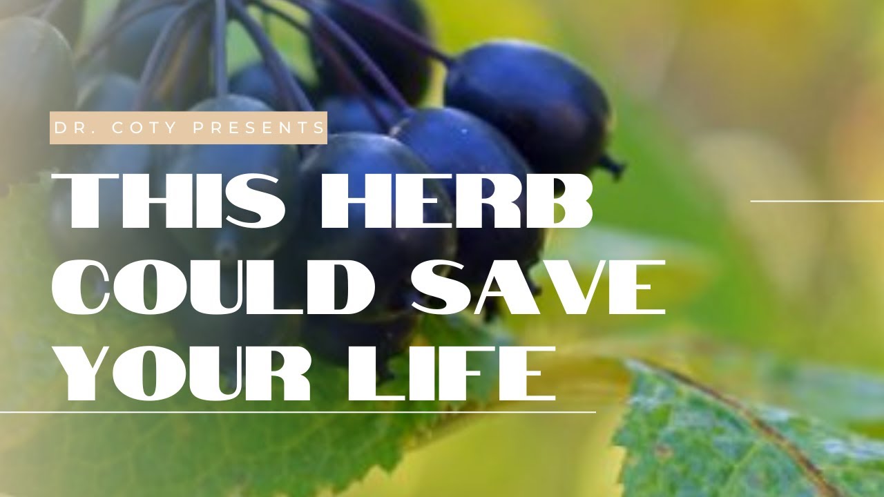 Eleuthero benefits that could save your life!