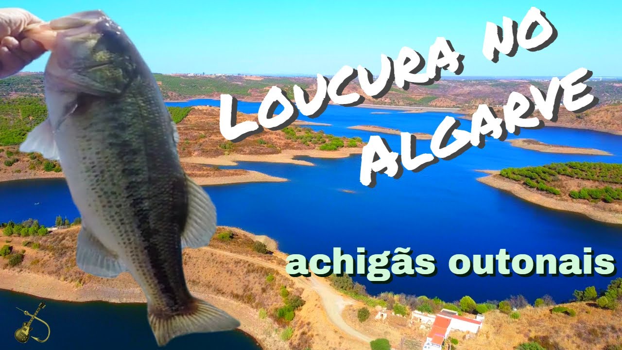 achigãs algarvios😮 pescaria louca 🎣🎣🎣🎣