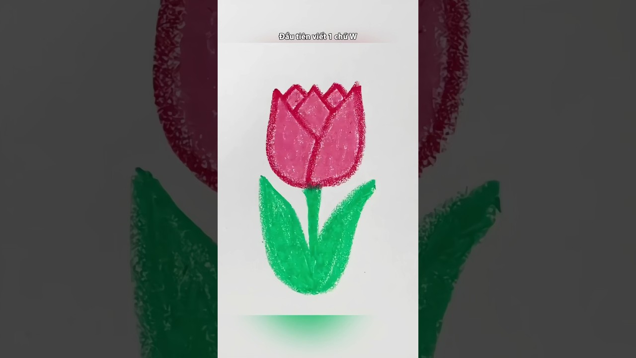 C&aacute;ch vẽ 1 b&ocirc;ng hoa Tulip 🌷 #thienbink1 #artist #drawing #art #tulip #draw #flowers #vetranh #shorts