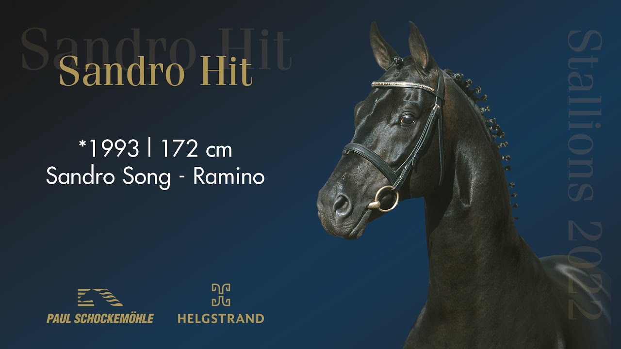 Sandro Hit - Dressurkollektion 2022 Schockemöhle & Helgstrand (DEU)