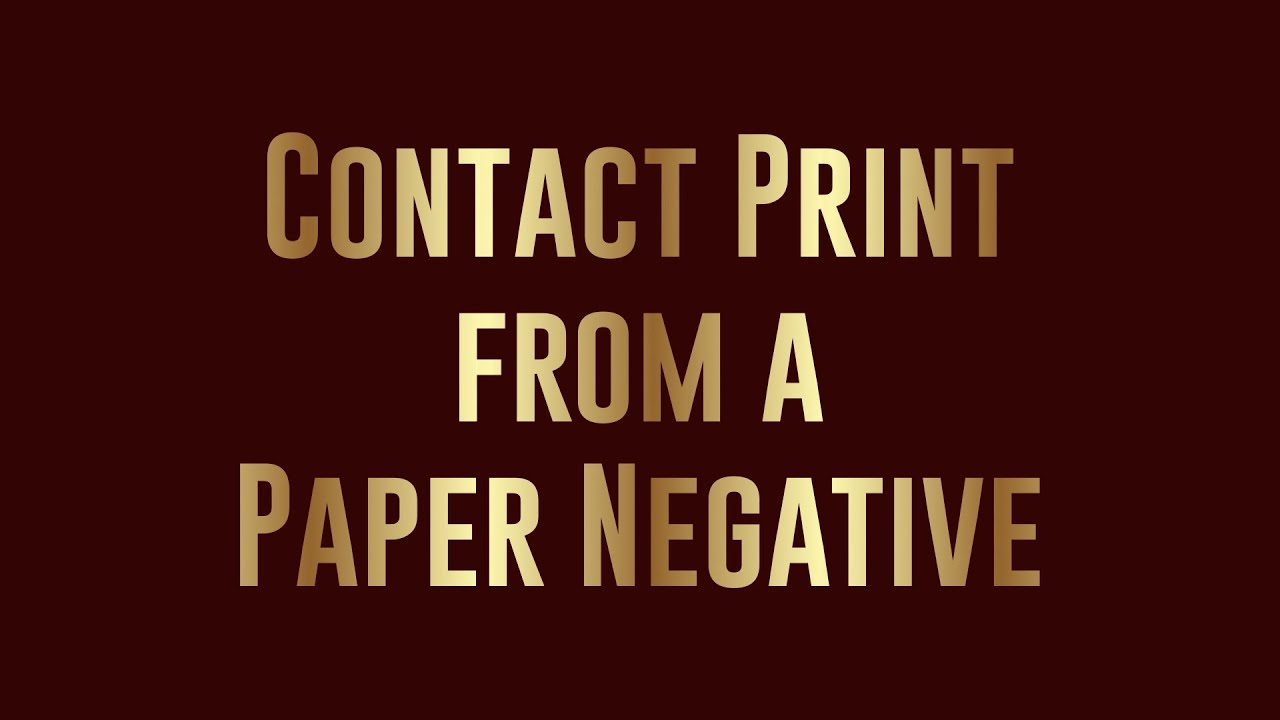 Making a Cyanotype contact print from a paper negative with the new 