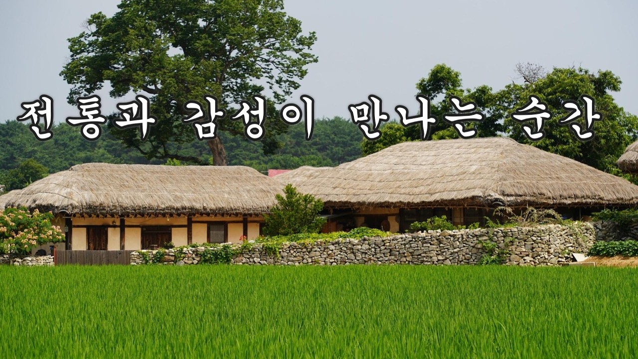 (#64)한국 전통 국악 연주곡 :  🌿천천히 풀리는 마음, 전통의 소리