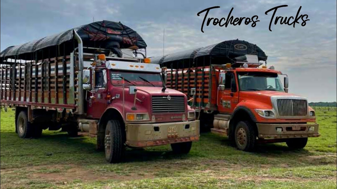 Los VERDADEROS HÉROES de la COLOMBIA olvidada