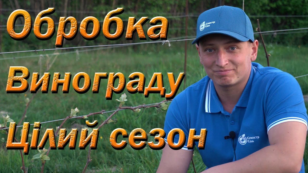Схема обробки винограду на увесь сезон