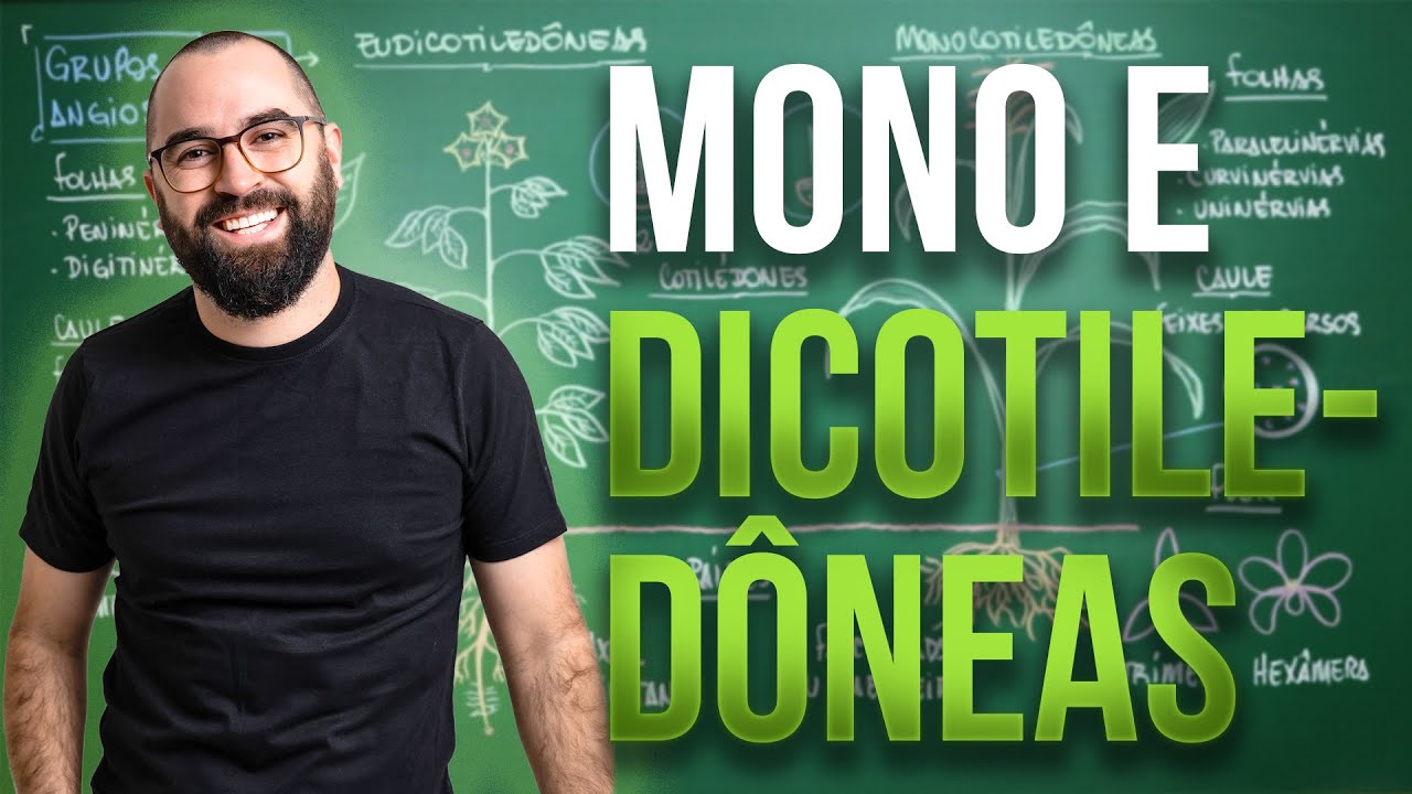 Monocotiledôneas e Eudicotiledôneas - Aula 06 - Módulo 5: Botânica