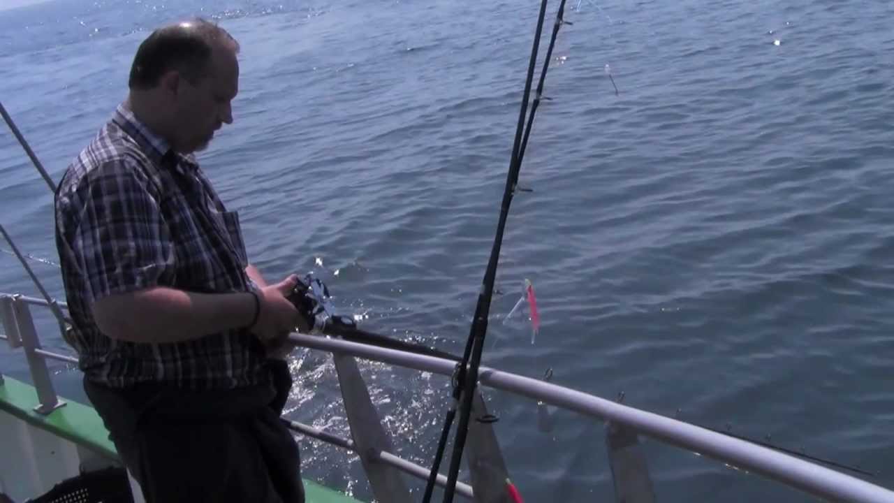 Havtur 8/7-2012 (3) M/S Signe Grenå