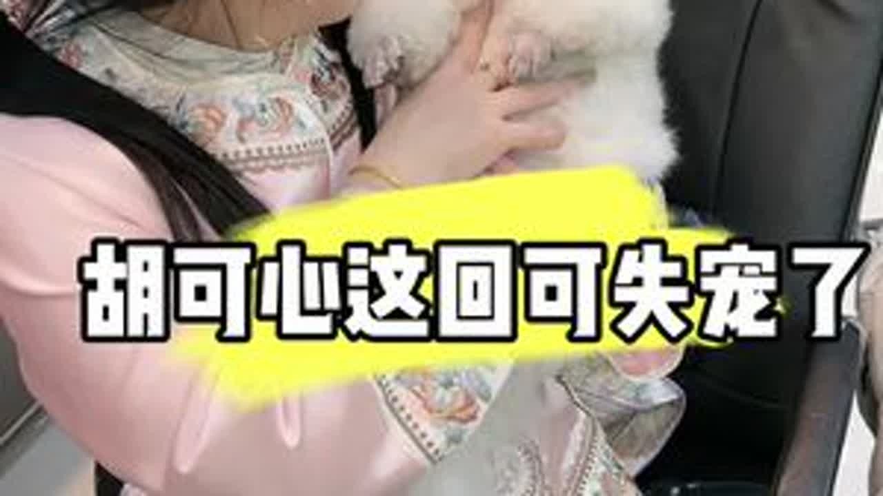 胡可心🐶不开心了 以后这小叔能和大侄女干仗不 #家有萌宠小可爱 #化妆品分享