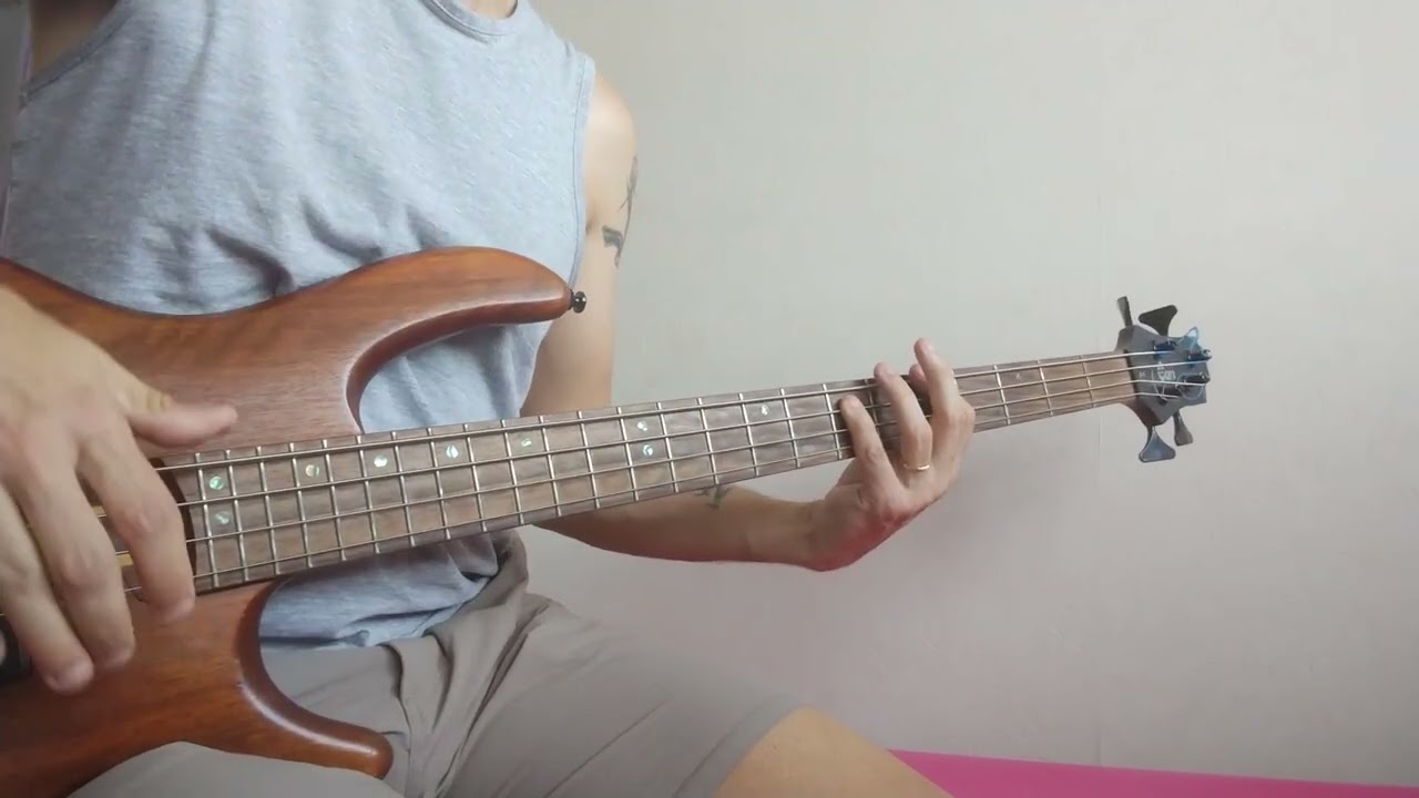 Gerard Darmon - Ne t'en vas pas (bass cover)
