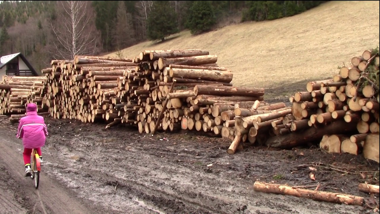 Holčovice Spálené, Sokolí důl, chalupy, chaty, kůrovec, polom,