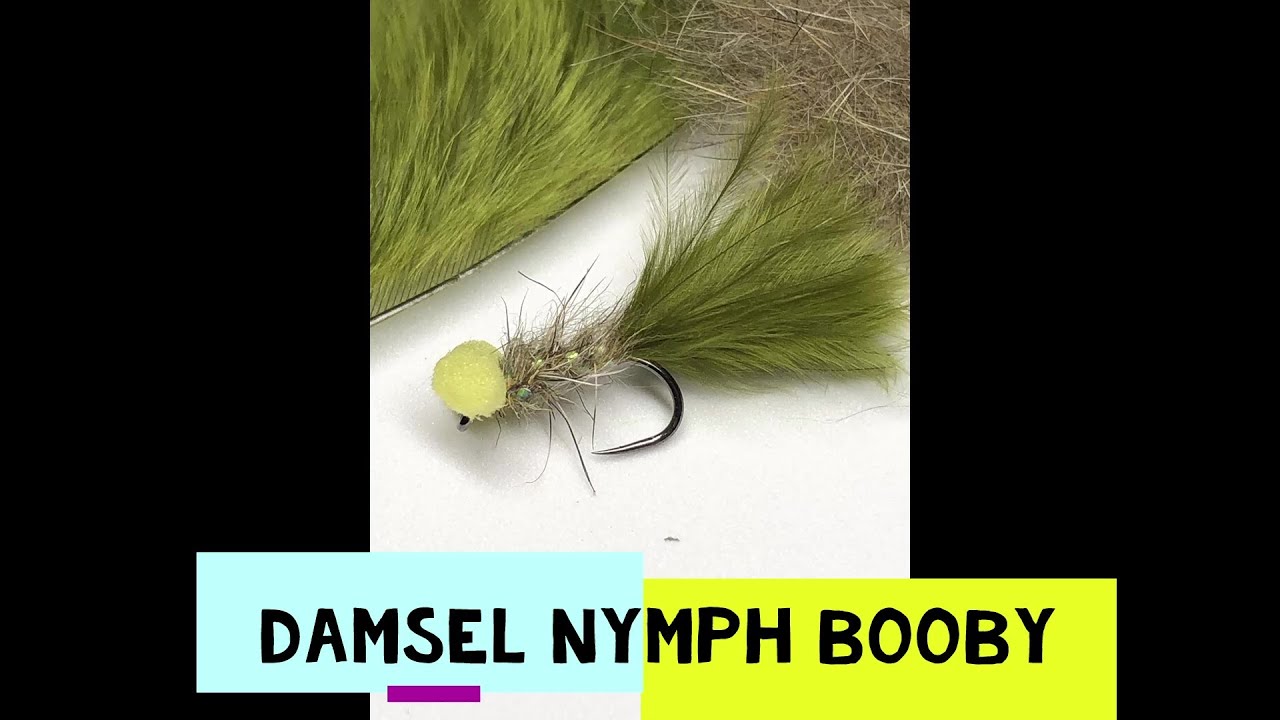 Damsel Nymph Booby