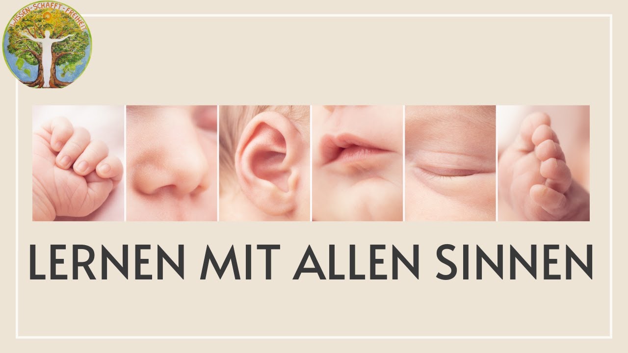 lernen mit allen Sinnen