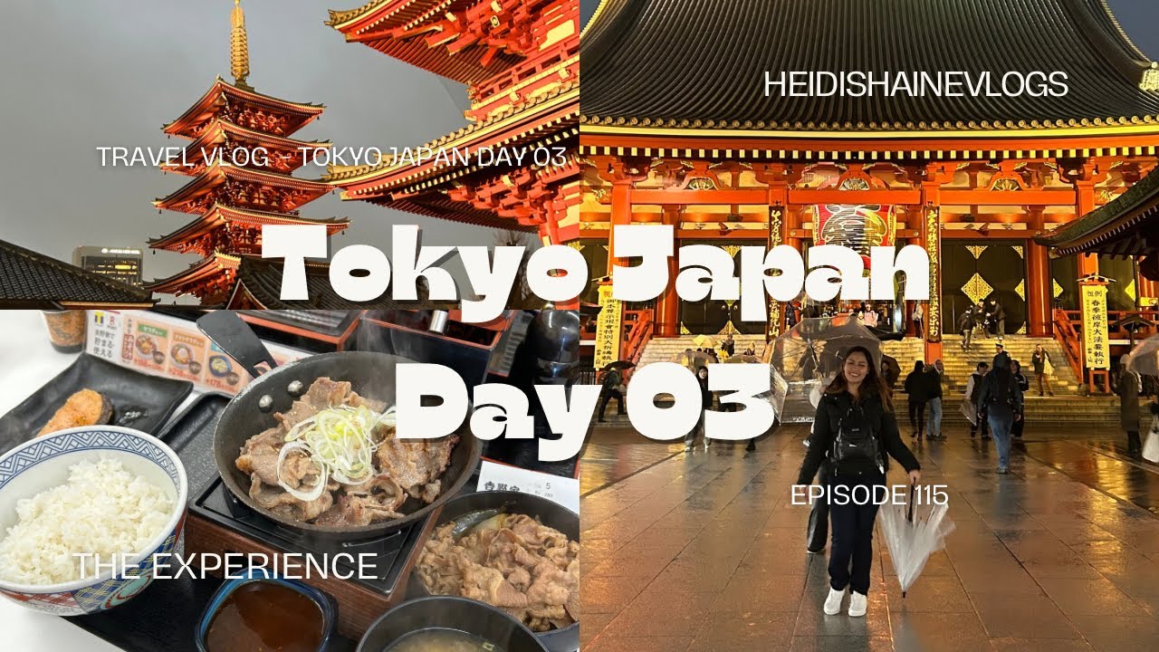 JAPAN VLOG l GINZA ST, SENSOJI TEMPLE, Hotel Transfer l Tokyo Japan Day 03 l heidishainevlogs 🌸