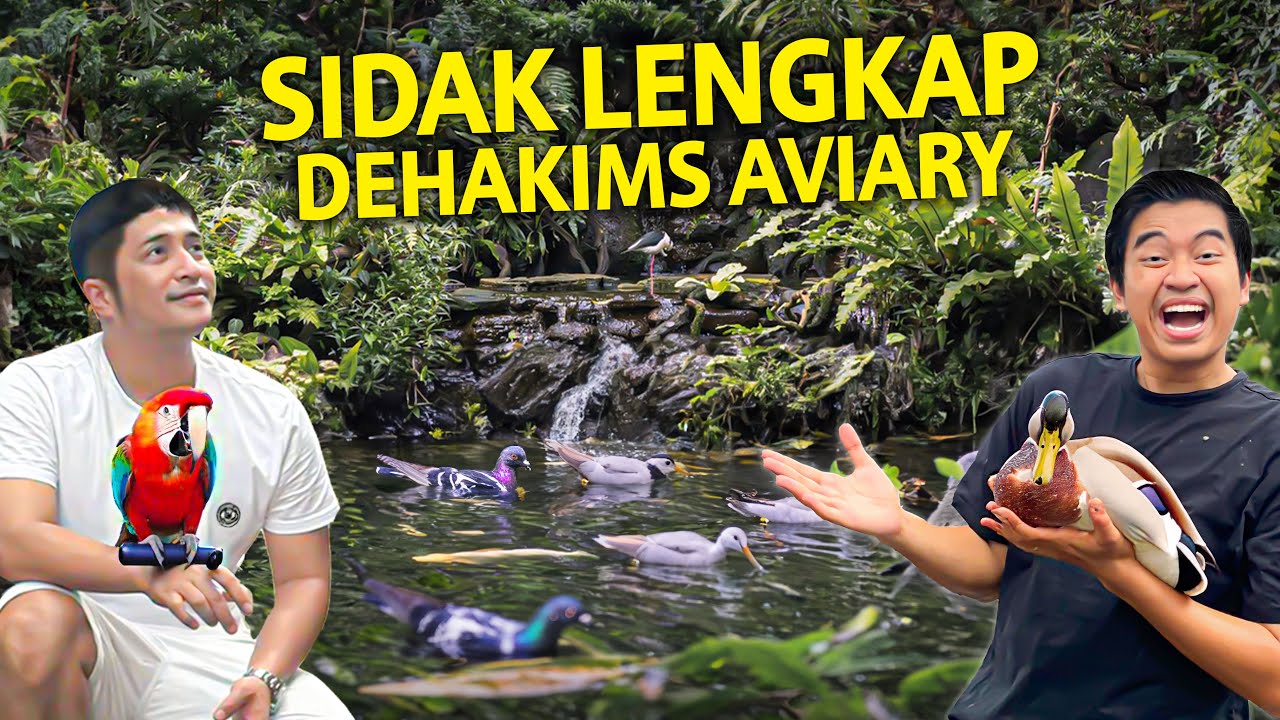 SIDAK TERLENGKAP DEHAKIMS AVIARY IRFAN HAKIM! SEMUA ISINYA KITA GELEDAH!
