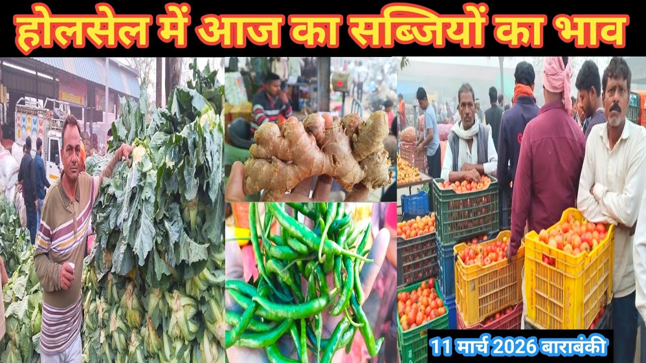 March 11, 2026 Barabanki UP 🍅 होलसेल में आज का सब्जियों का भाव 🫛 sabji ke bhav 🍅 vegetable price 🥰