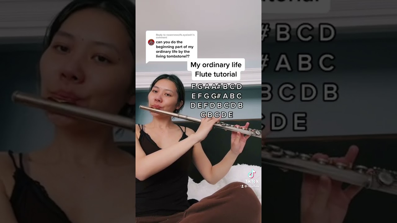 My ordinary life - The living tombstone (flute tutorial + notes)