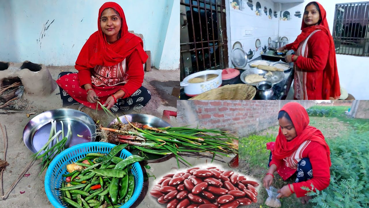 🤷एक बहुत बड़ा काम निपटाने के बाद आखिर नई 🌱फ़सलें लगा ही दी ,कब 🌰राजमा में फर लगने लगे पता ही नहीं चला