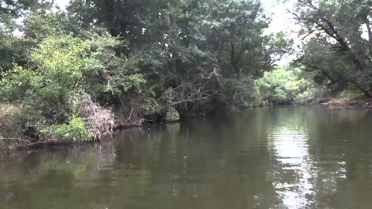 Niezwykly Swiat - Bułgaria - Rezerwat Ropotamo