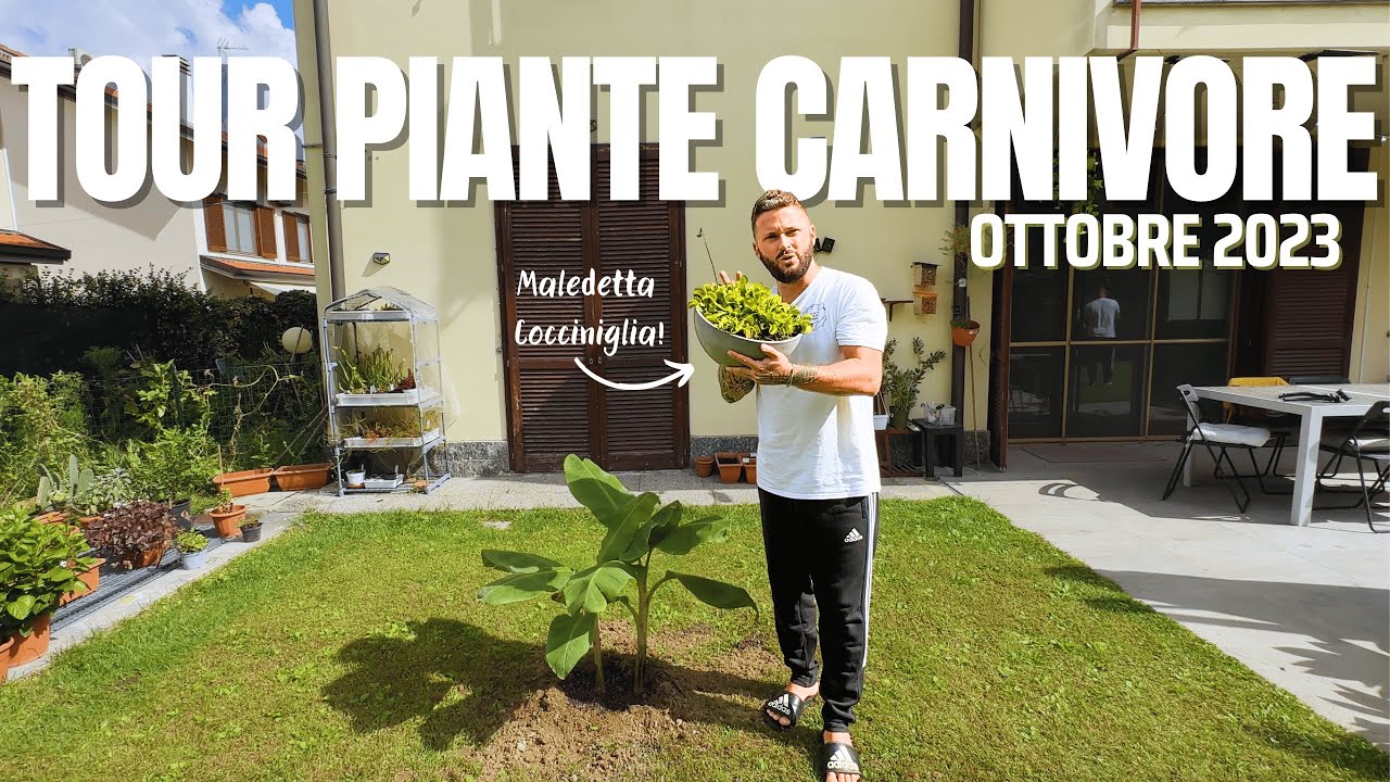 TOUR PIANTE CARNIVORE: OTTOBRE 2023