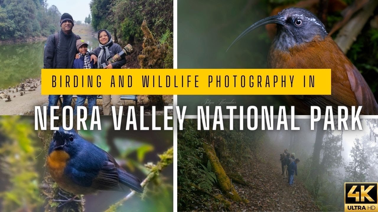 Neora Valley National Park  | Mulkharkha Lake | Offbeat North Bengal