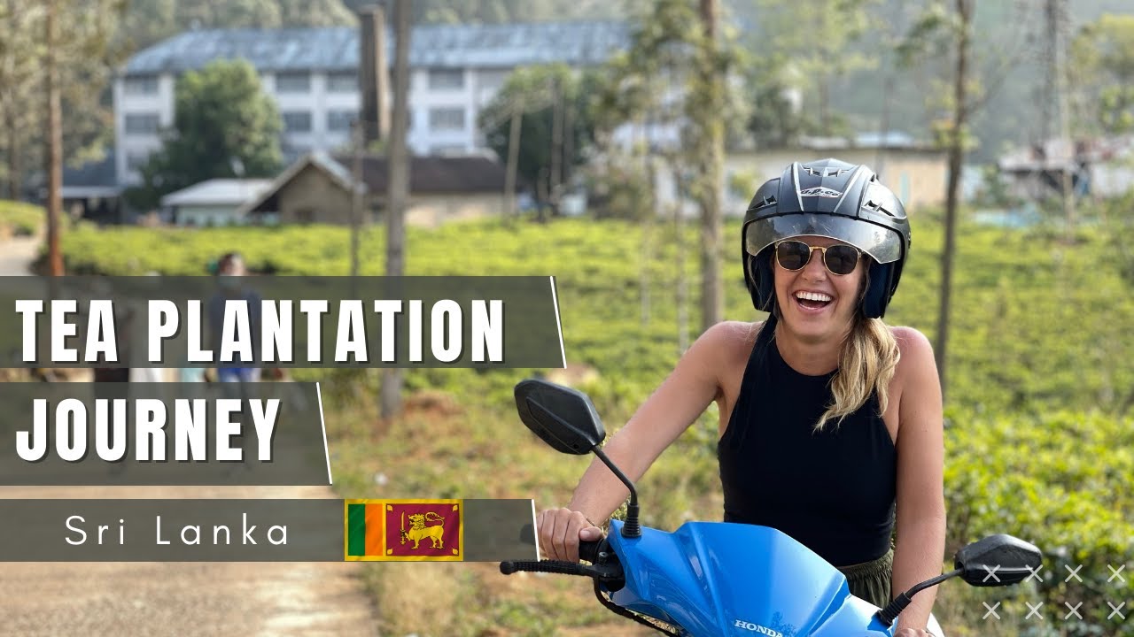 British Tea Plantation... in Sri Lanka?! 🇱🇰 (Nuwara Eliya)