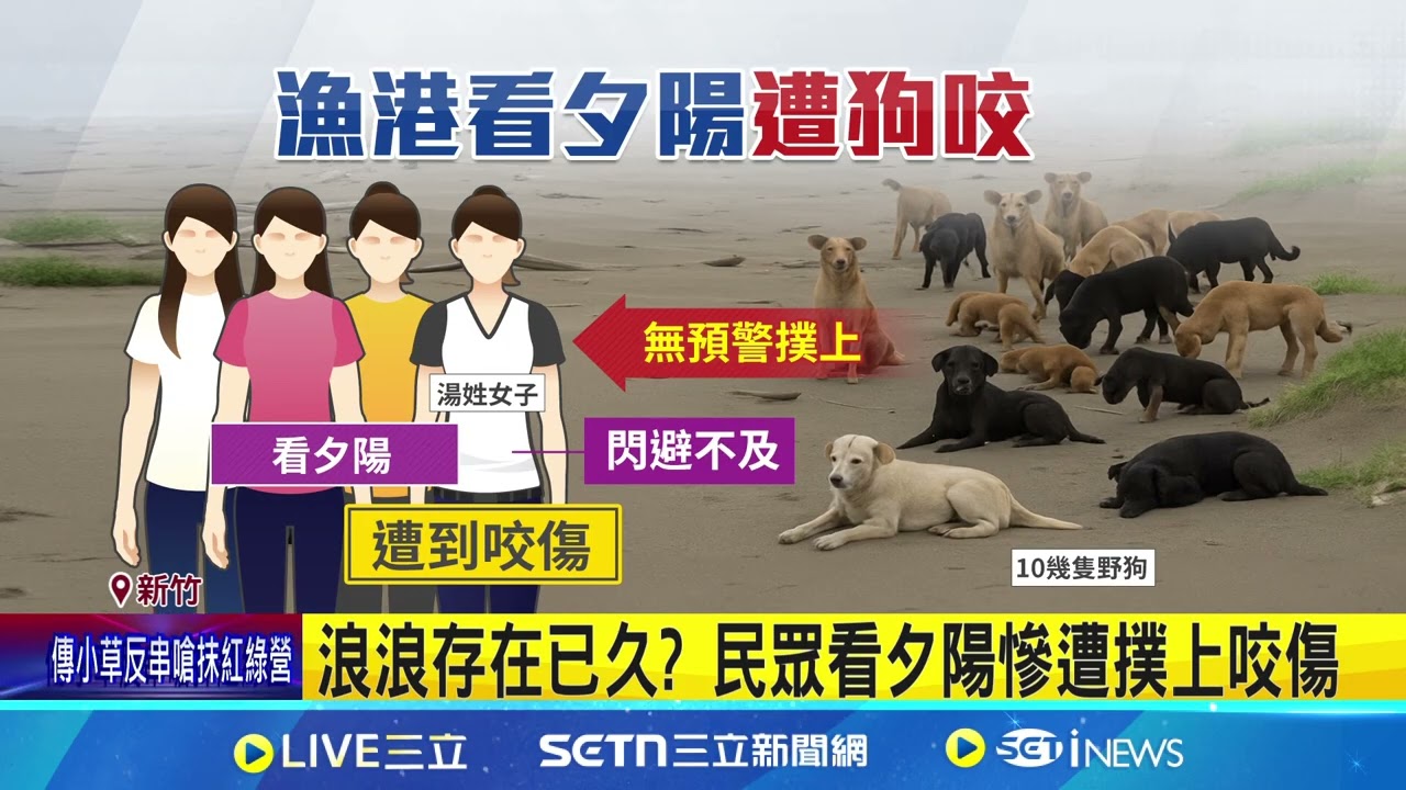南寮漁港看夕陽遇禍 民眾遭10野狗咬傷 4年前7旬婦遭6狗狂追摔 頭部重創不治｜三立新聞網 SETN.com