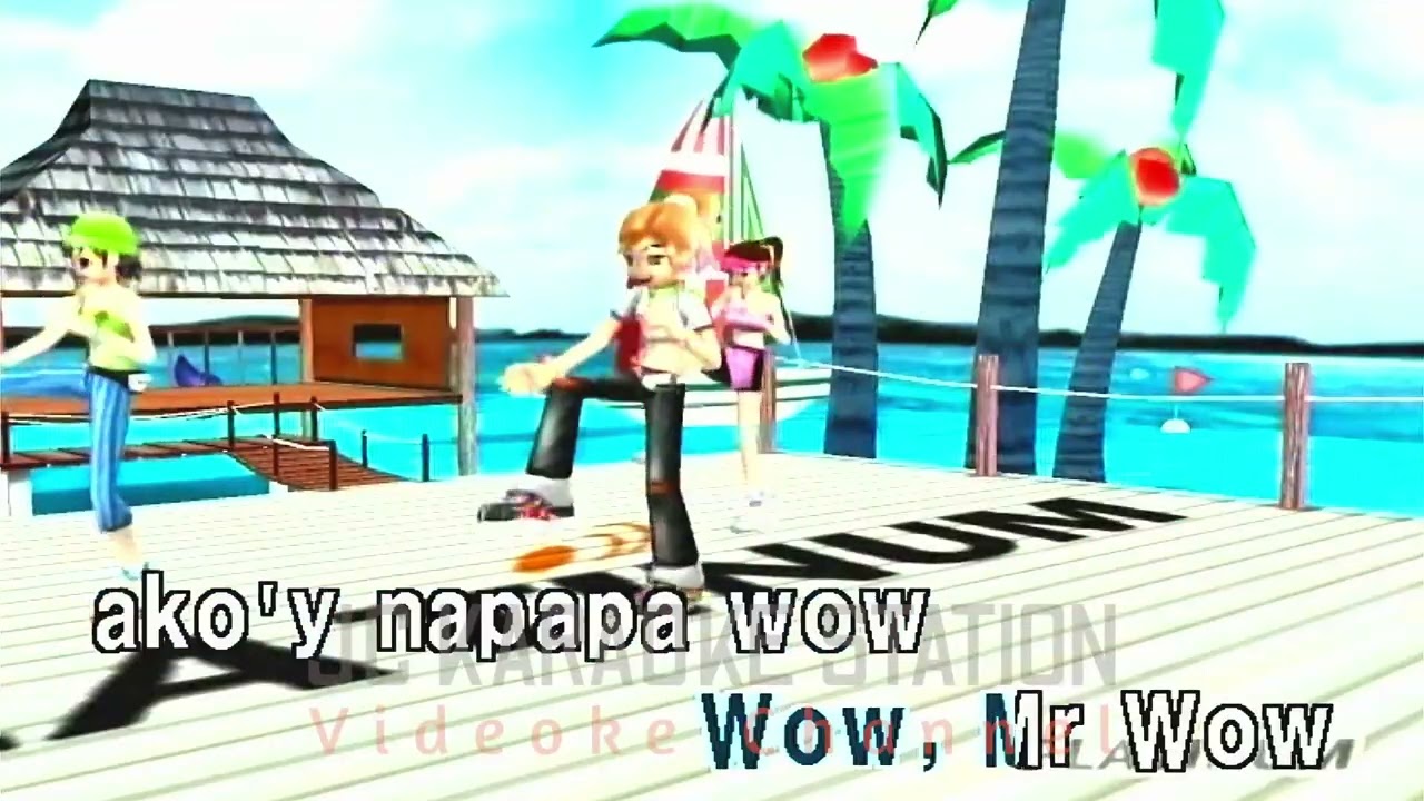 Mr. Wow - Ethel Booba Lyrics/Karaoke | P-20 |