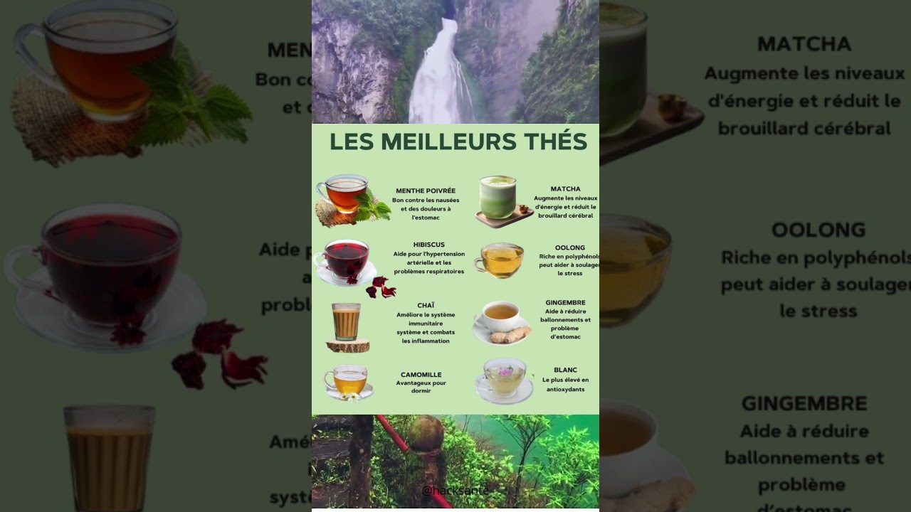Les bienfaits des diff&eacute;rents th&eacute;s 🍵 Choisis le bon pour ta sant&eacute; !