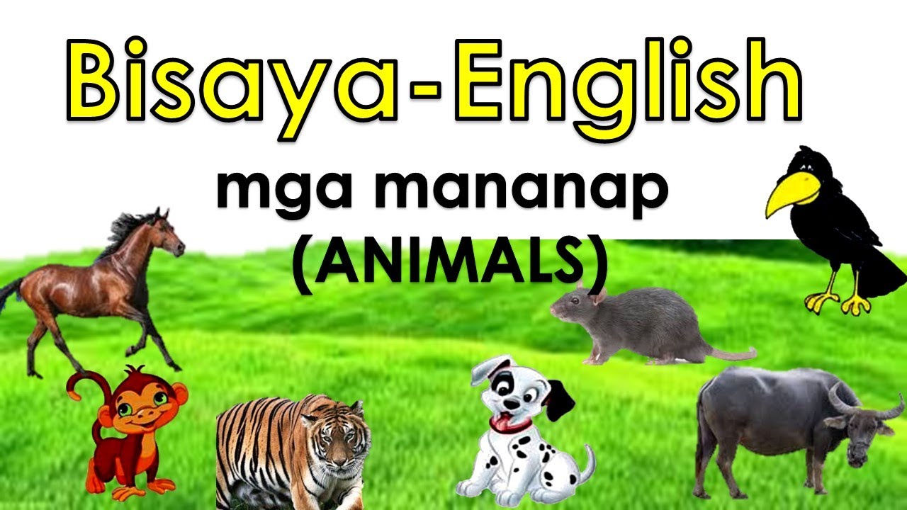 Bisaya- English ll mga mananap (animals)
