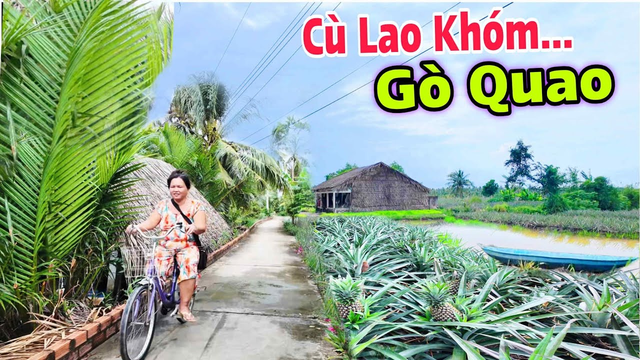 Khám Phá Cù Lao Khóm Gò Quao - Bạt Ngàn Những Rẫy Khóm Được Trồng Tại Cù Lao Này | Lâm Ái Vlog