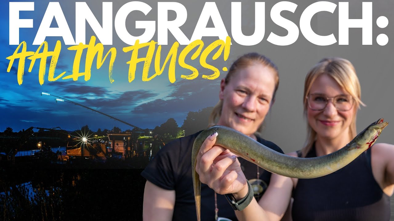 Unglaublich! WIR FANGEN AAL AUF AAL IM FLUSS! 🔥 Aalangeln | Koch's Angelwelt | Gewinnspiel