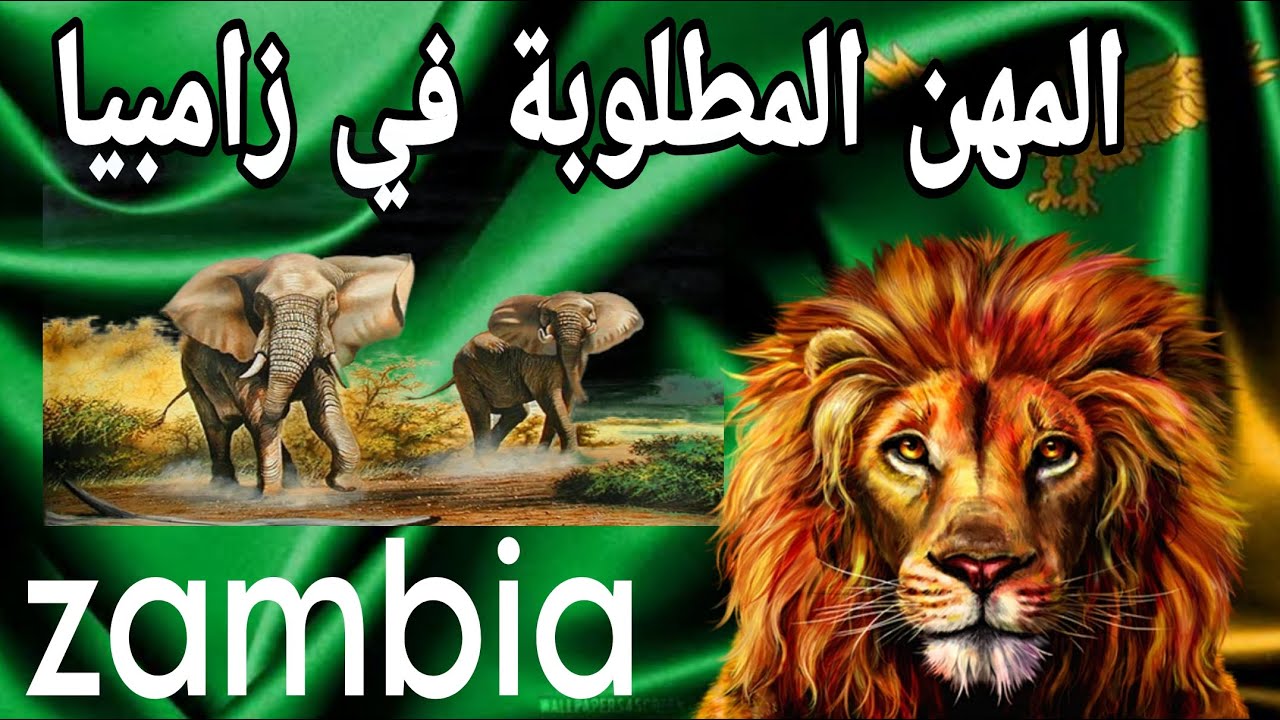 سوق العمل والإيجارات في زامبيا | شروط ميسرة للحصول علي جنسية زامبيا