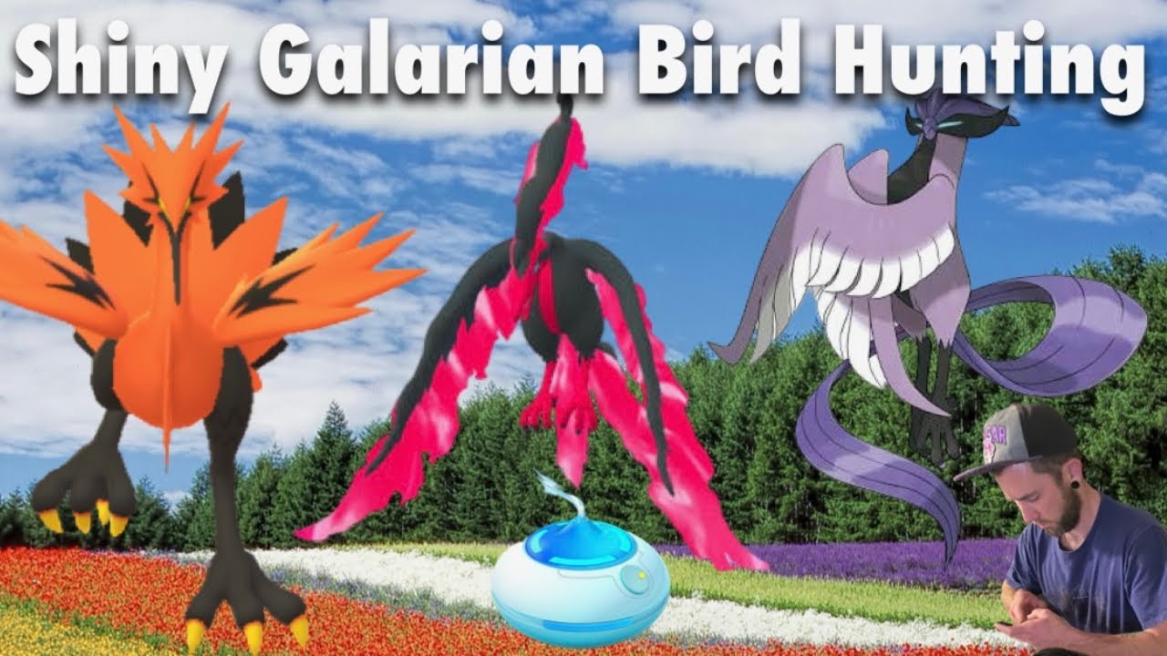 ✨Shiny Galarian bird hunt/PvP🛡️ Pokemon Go LIVE!🤞