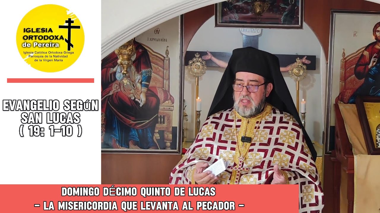 15.º Domingo de Lucas | Hoy la salvación llega a tu casa