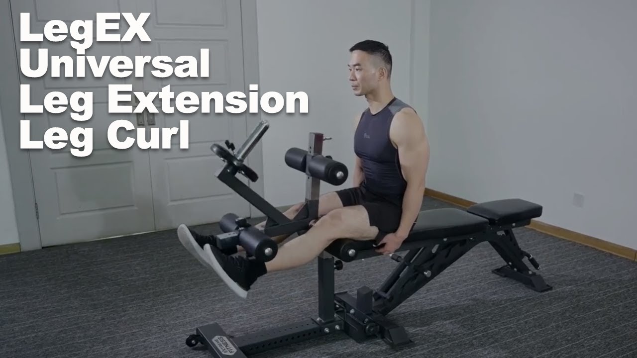 Training Camp LegEX Universal Leg Extension and Leg Curl Attachment